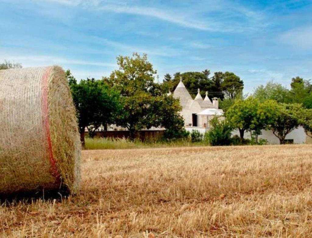 Villa Trulli Delle Rose *